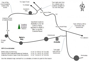 Wedding Map Overview