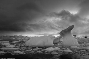 Cierva Cove under a brooding sky in black and white