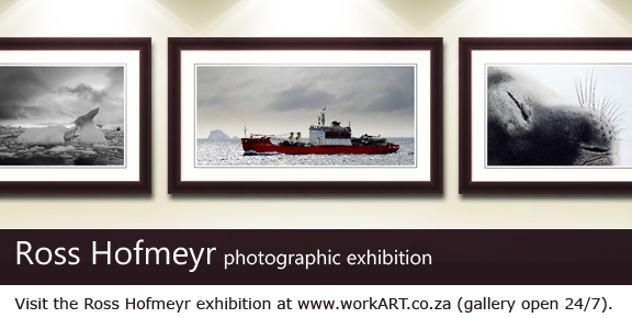 Ross Hofmeyr exhibition on workART Ross Hofmeyr exhibition on workART