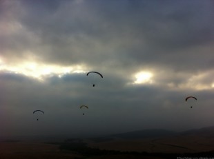 2012_0303 PPG-4
