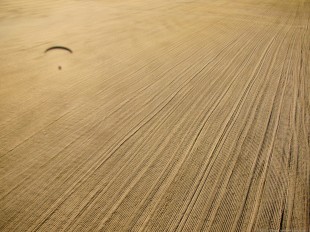 Skimming the fields
